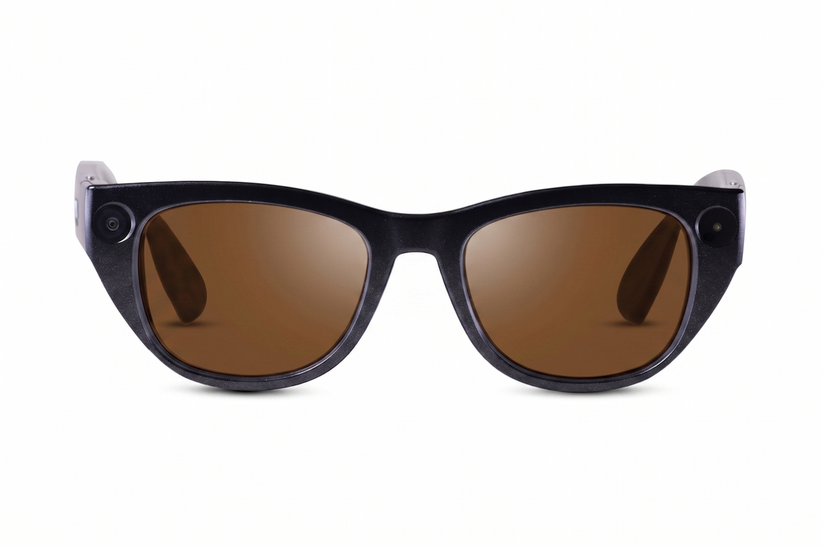 EchoVision AI Smart Glasses for Blind & Low Vision